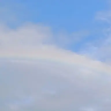 Profile image of 先生達