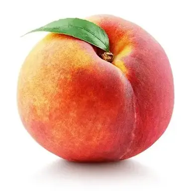 Profile image of Bartholomew