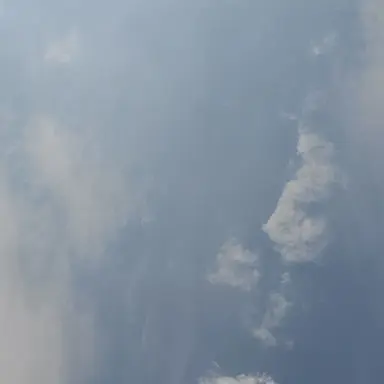 Profile image of 잠뜰