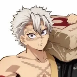 Profile image of Sanemi Shinazugawa