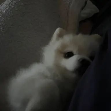 Profile image of りょう