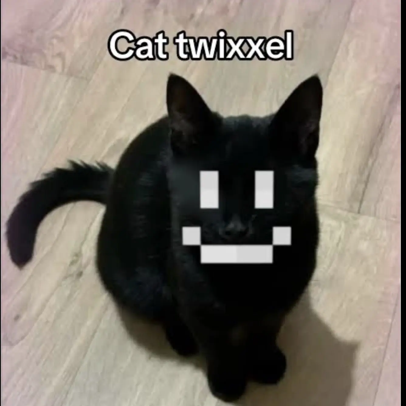 Just_an_otaku의 Mob&twixel cat ver💗