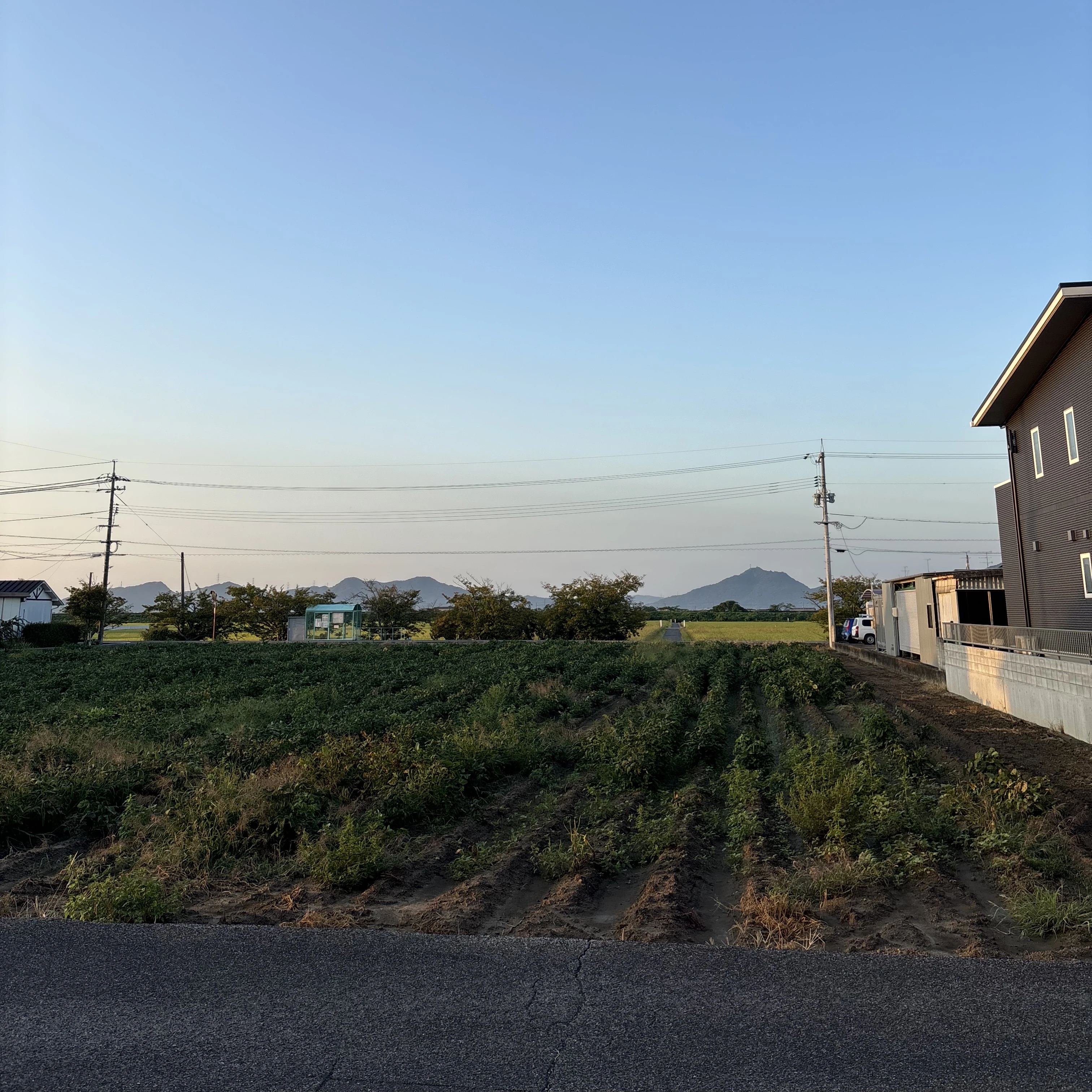 ゆうひ