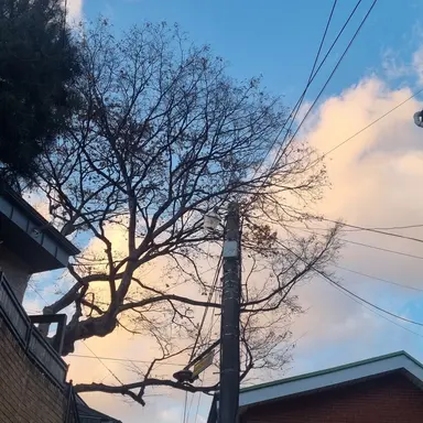 Profile image of 각별