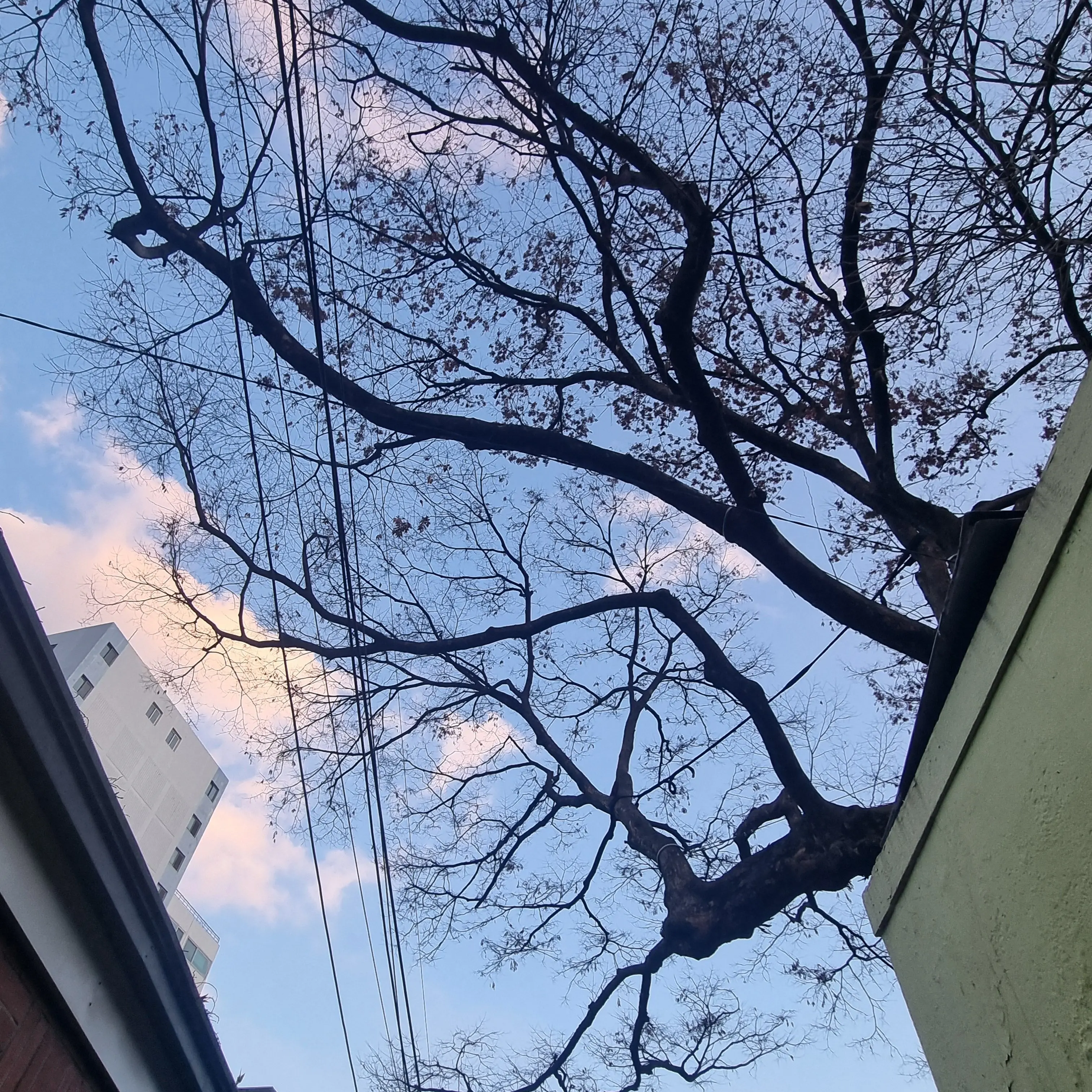 SorryBulb4086의 금수저 아가씨