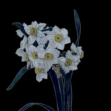 Profile image of Austin Ann