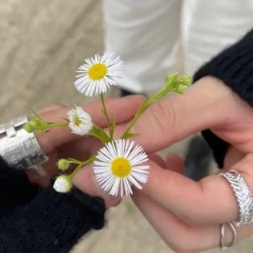 avocadojam_0128의 이민호
