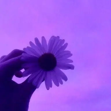 Profile image of 황수현