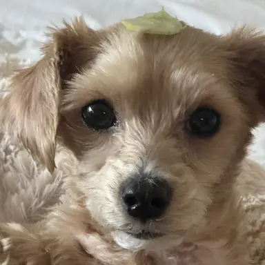 Profile image of ㅂㅅㅂ