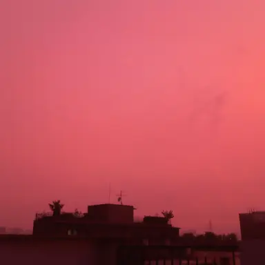 Profile image of 아이자와 쇼타