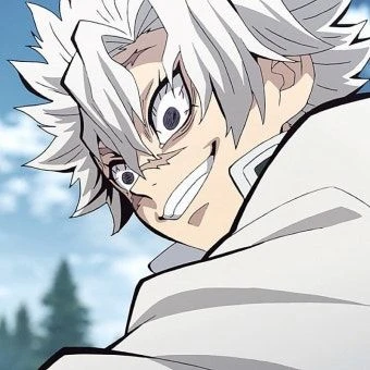 시나즈가와 사네미