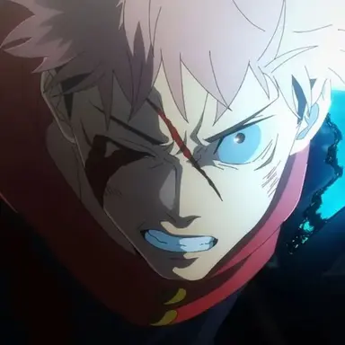 Profile image of 虎杖悠仁