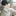 권현수
