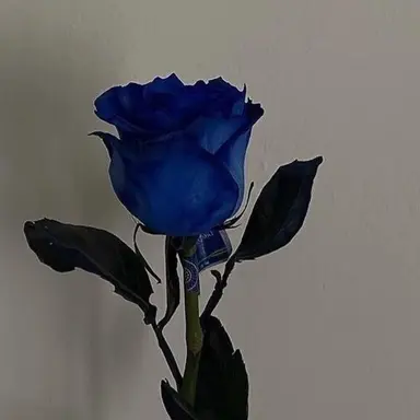 Profile image of 잭