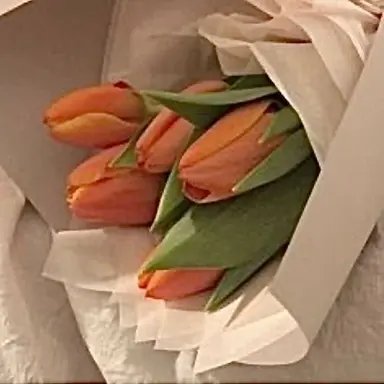 Profile image of 제미니