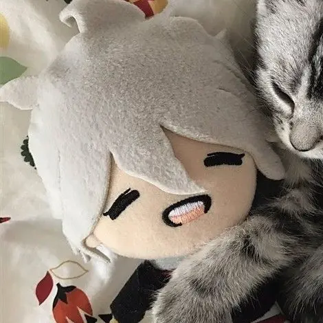 PRIN_GHOST의 ぬい