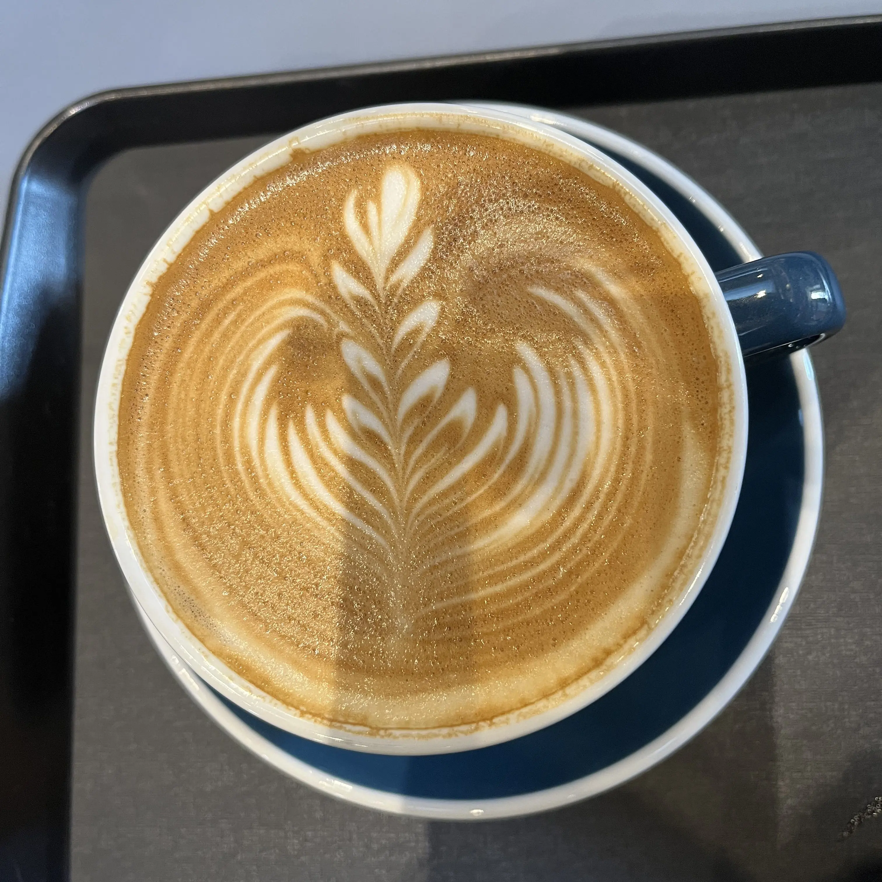 HomelyCumin5877의 함현중학교 운명