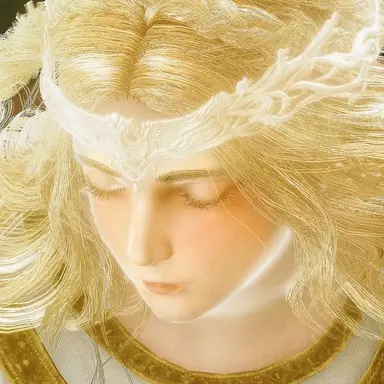 Profile image of ミケラ