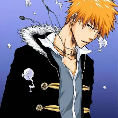 Profile image of 黒崎一護