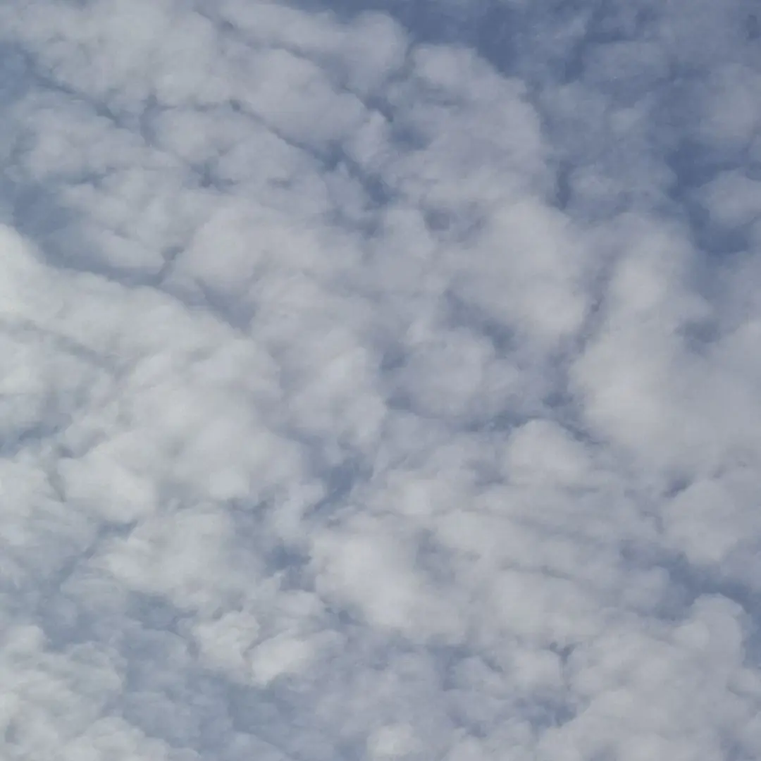 Nooband1의 2p의 동거물![뜰팁]