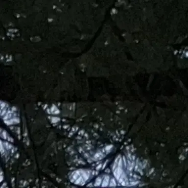 Profile image of 공룡