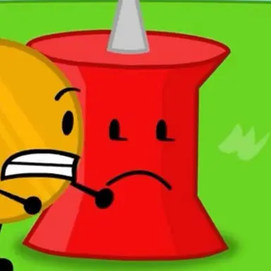 Profile image of Pin 8