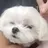 이선후