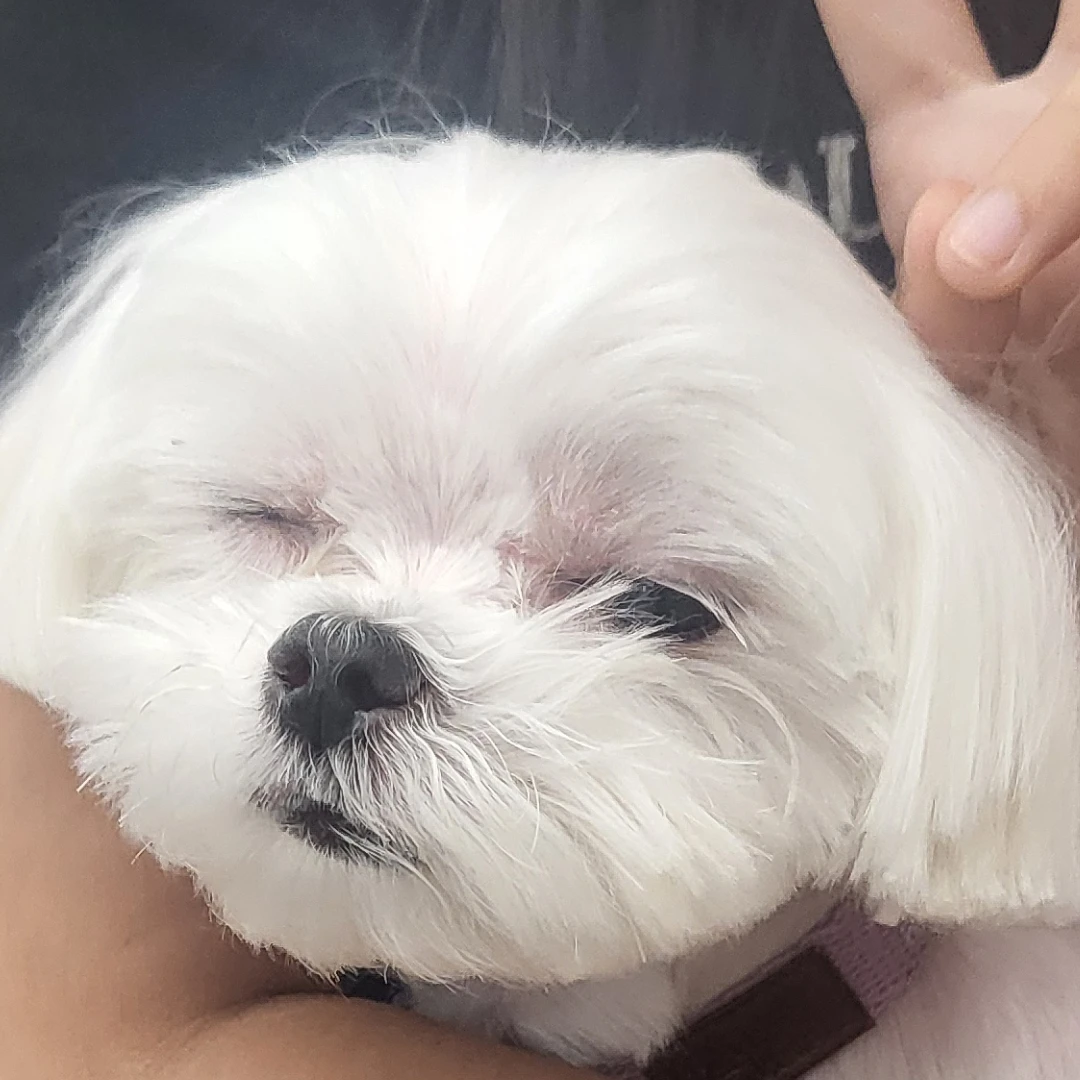 이선후