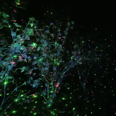 Profile image of 원액스