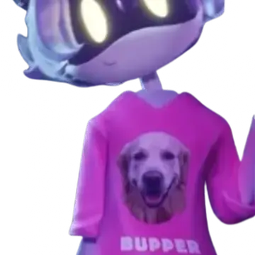 Profile image of N
