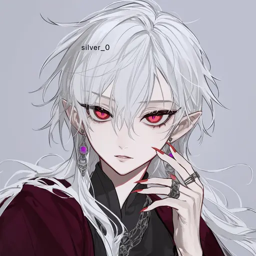 silver_0의 아게르
