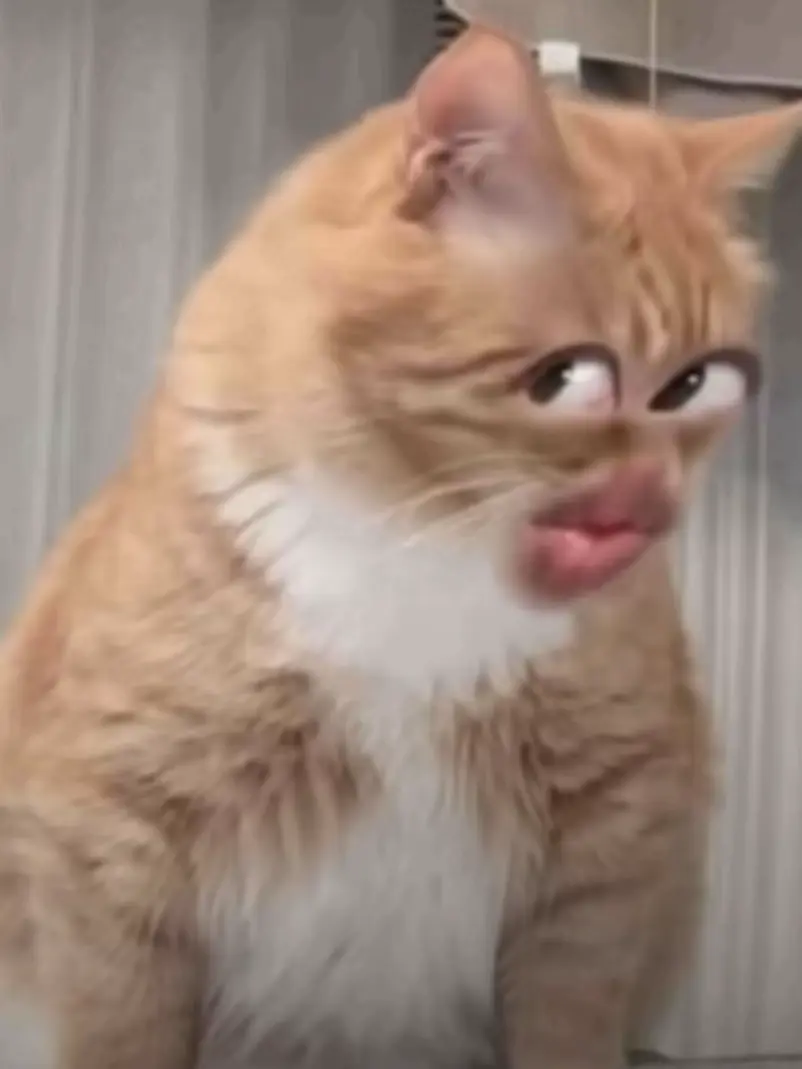 LeftLeaf9706의 coreたち(OC)