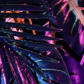 Profile image of まなと