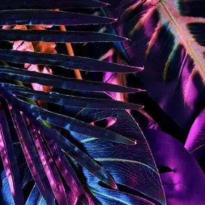 Profile image of しゅんと