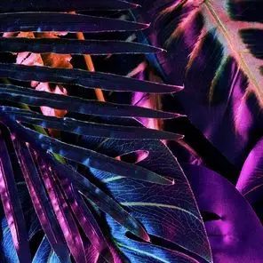 Profile image of じゅのん