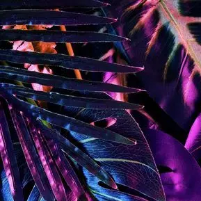 Profile image of れお