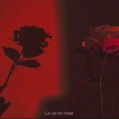 Profile image of 라더