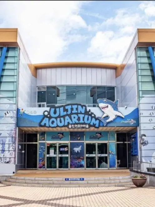 BaldNerve0459의 🐳아쿠아리움-🐠🦭