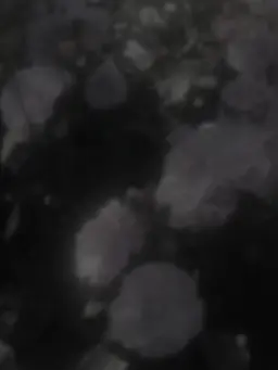 uyutyan.1020의 幼馴染に見られた＿＿！？