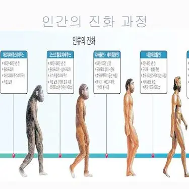 Profile image of 인간
