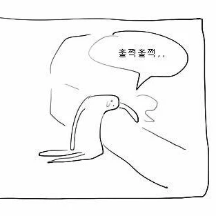 명 재현