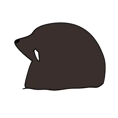 Profile image of 야구라