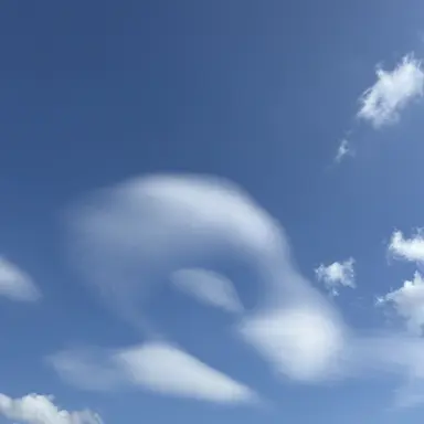 Profile image of 잠뜰