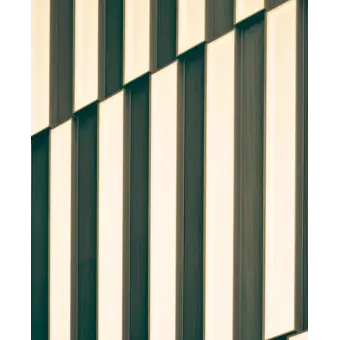 Profile image of 공룡