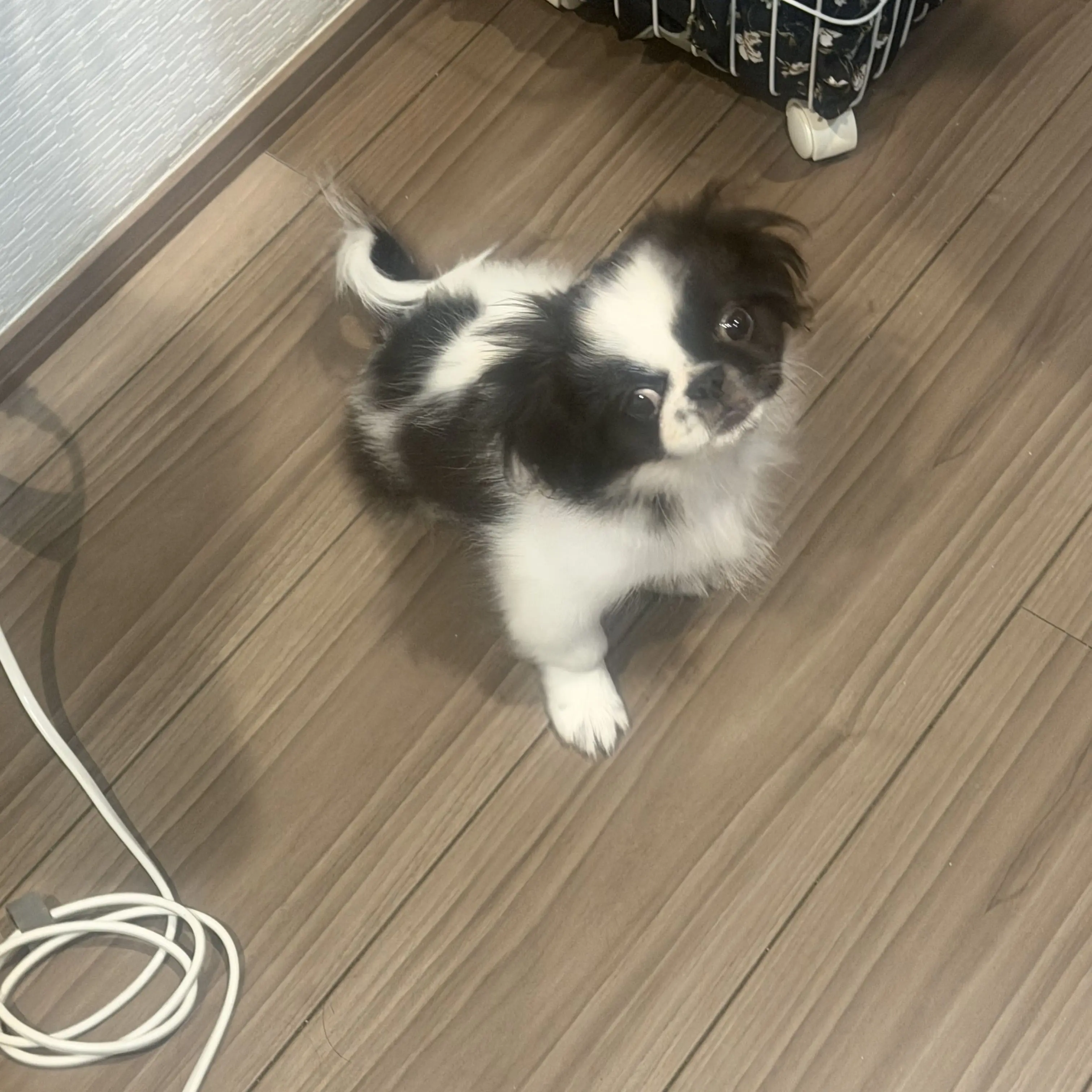 UniqueWhisk4757의 瀬戸内先生の特別補習