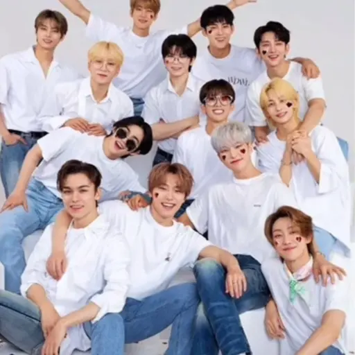 UniquePhone6541의 세븐틴 친오빠들