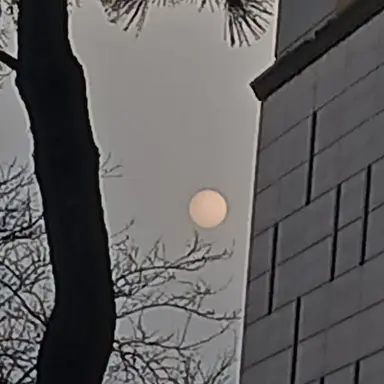 Profile image of 카미나리 덴키