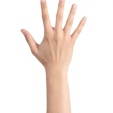 Profile image of 시가라키 토무라