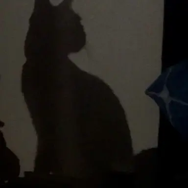 Profile image of 정지훈