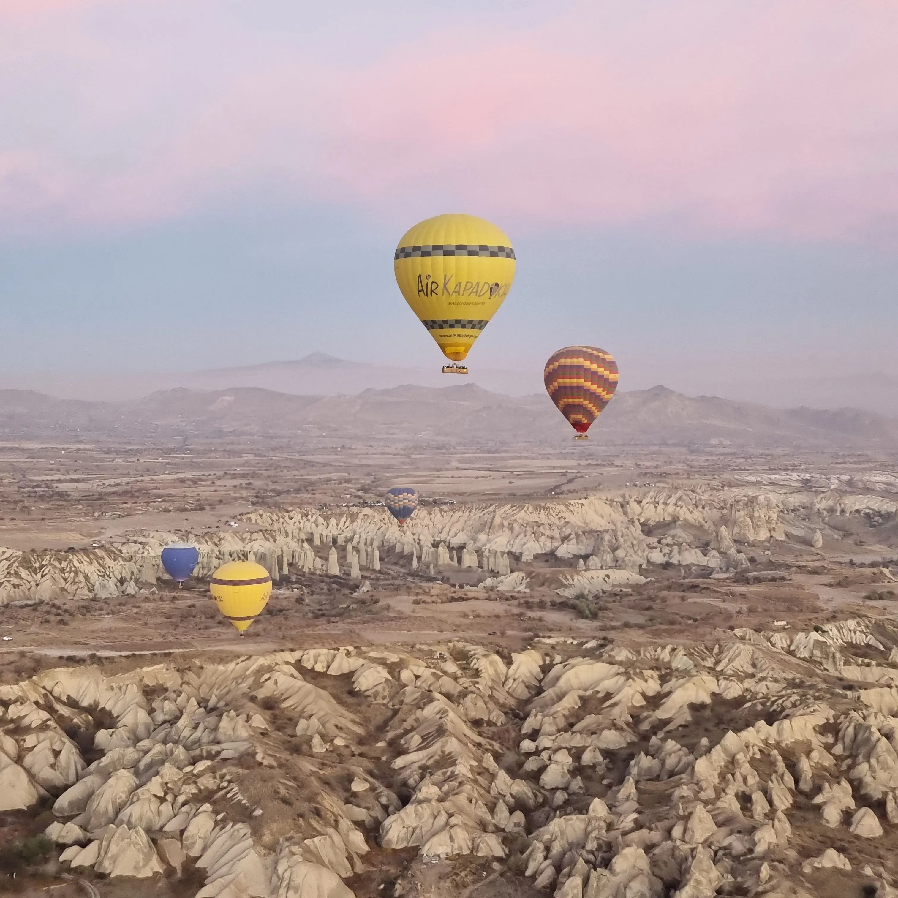 LazyFossa4636의 엔믹스 멤버에 들어갔지만 나는 남자?